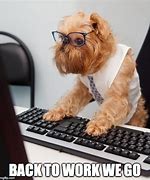 Image result for Back to Work Meme Animals