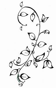 Image result for Vine Coloring Sheets