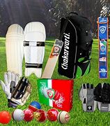 Image result for Cricket Gear