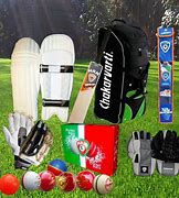 Image result for Cricket Gear