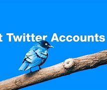 Image result for Top Accounts On Twitter