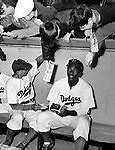 Image result for Dodgers Jackie Robinson Backround