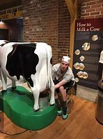 Image result for Almond Cow Meme
