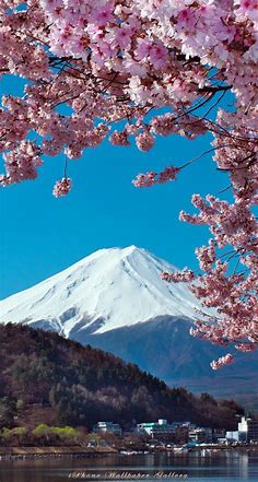 壁紙 春 富士山