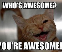 Image result for Who's Awesome You're Awesome Meme