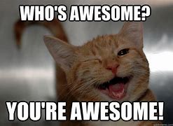 Image result for You Are Amazing Cat Meme