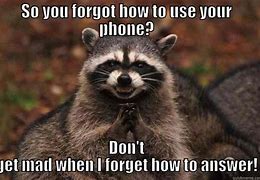 Image result for Funny Ignore Craziness