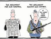 Image result for Gun Law Cartoons