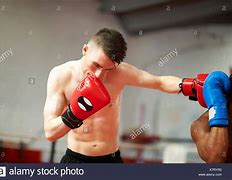 Image result for Boxing Sparring