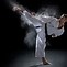Image result for iStock Karate Kick in Face