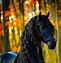 Image result for Mythical Horse Wallpaper