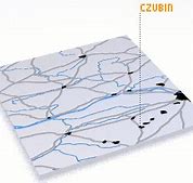 Image result for czubin