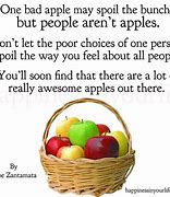 Image result for One Bad Apple Saying