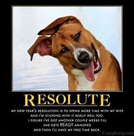 Image result for New Year Funny Dog Meme