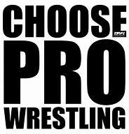 Image result for Disney Pro Wrestling T-Shirts