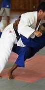 Image result for Silvis Martial Arts
