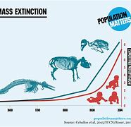 Image result for 6th Mass Extinction