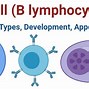 Image result for Antigen-Specific B Cells