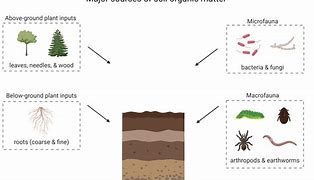 Image result for Drying Soil Materials with Microwave