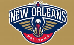 Image result for Pelicans Football Logo