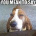 Image result for Coon Dog Memes