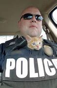 Image result for Funny Cat Police