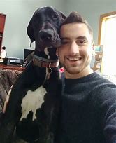 Image result for Great Dane On Couch