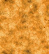 Image result for Grainy Texture Skin