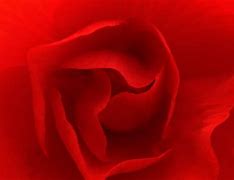 Image result for Screensavers Background Red