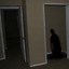 Image result for Black Figure Scary
