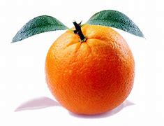 Image result for Orange Fruit