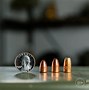 Image result for 50 Cal Pistol Round