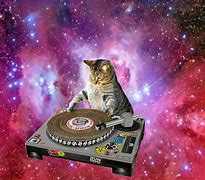 Image result for Cool Space Cat Wallpapers