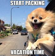 Image result for Vacation Dog Meme