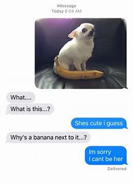 Image result for Funny Text Convos Books