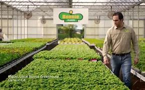 Image result for Restaurant Manufacturing Plants TV Ads