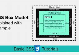 Image result for CSS Box Model Explained