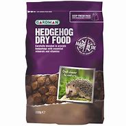 Image result for Hedgehog Food South Africa