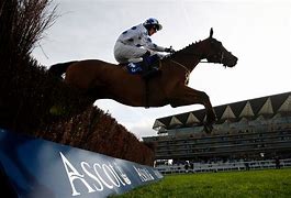 Image result for Ascot Racing Today May 12th