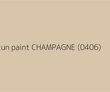 Image result for 199 Dark Champagne Color