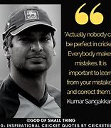 Image result for Witty Cricket Quotes