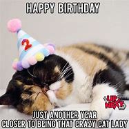 Image result for Cat Lady Birthday Party Memes