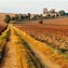 Image result for Fall Field with Sky Background