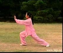 Image result for Tai Chi Yang Style 24