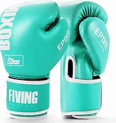 Image result for Boxing Gloves Punching Bag