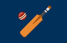 Image result for Cricket Bat Emoji