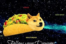 Image result for New Doge Memes