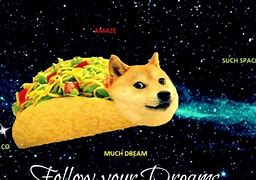 Image result for Funny Doge Meme Wallpaper