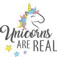 Image result for Pink Fully Unicorn
