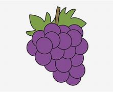 Image result for Vine of Grapes with Black Background